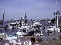 Florida - New Port Richey - Original Marina 3